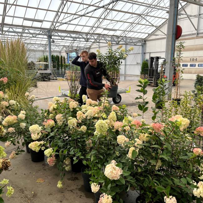 WhatsApp Image 2023-11-28 at 14.06.36.jpeg