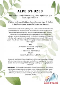 alpe d'huzes pre actie.jpg